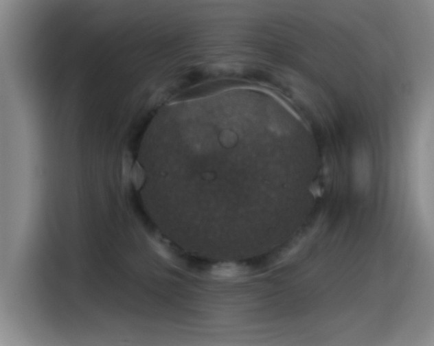 X0000116150231200911231338