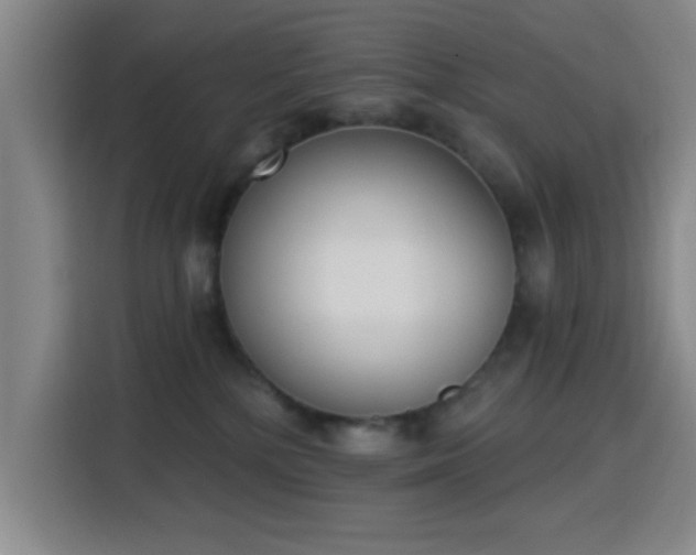 X0000116150232200911231338