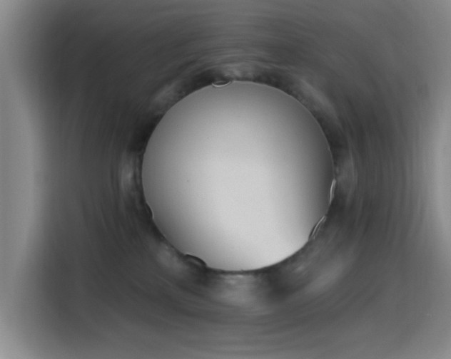 X0000116150233200911231338