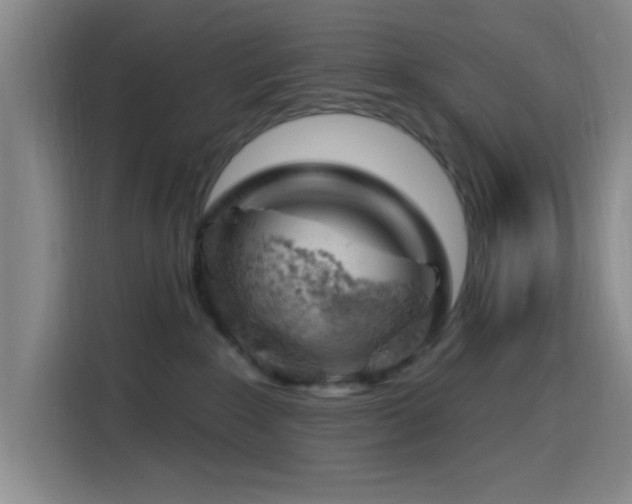 X0000116150235200911231337