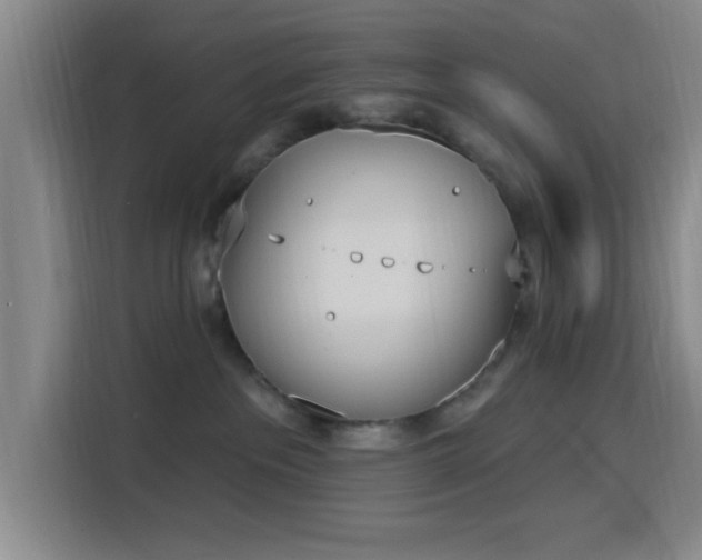 X0000116150237200911231337