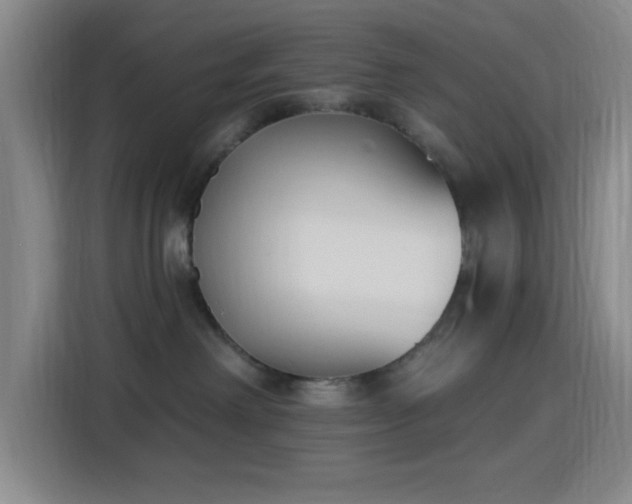 X0000116150238200911231337