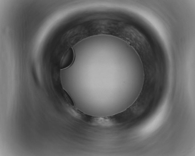 X0000116150239200911231337