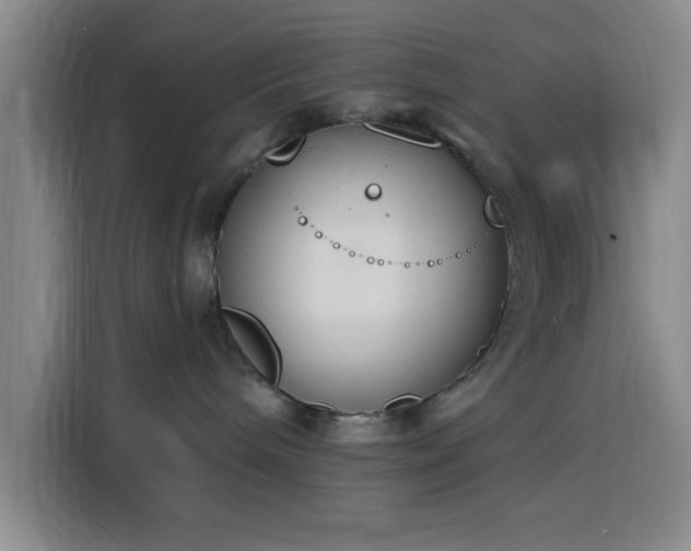 X0000116150240200911231337