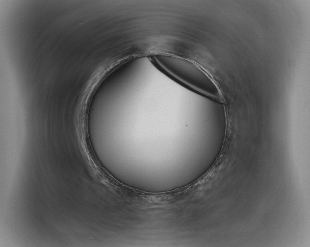 X0000116150241200911231337