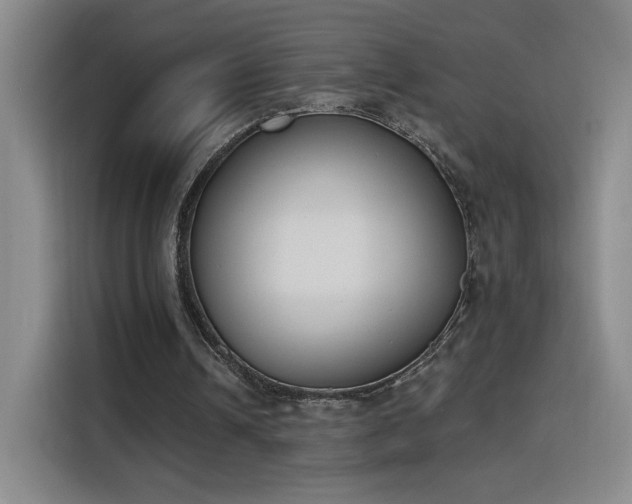 X0000116150242200911231337