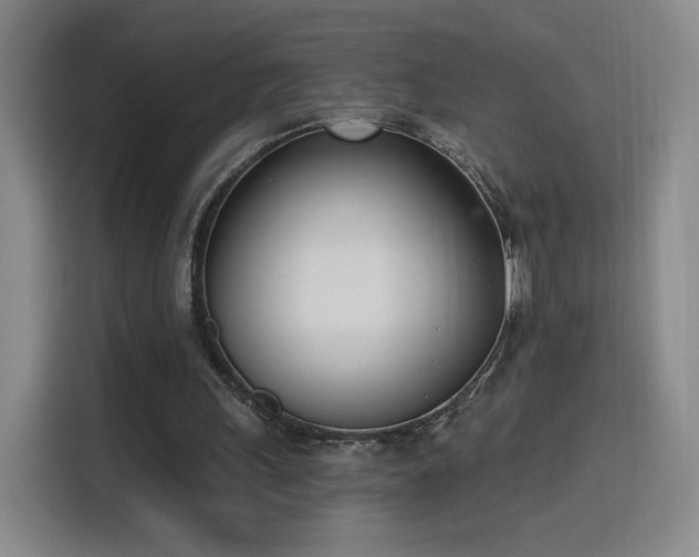 X0000116150243200911231337