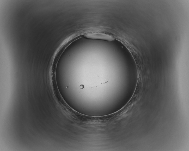 X0000116150244200911231337