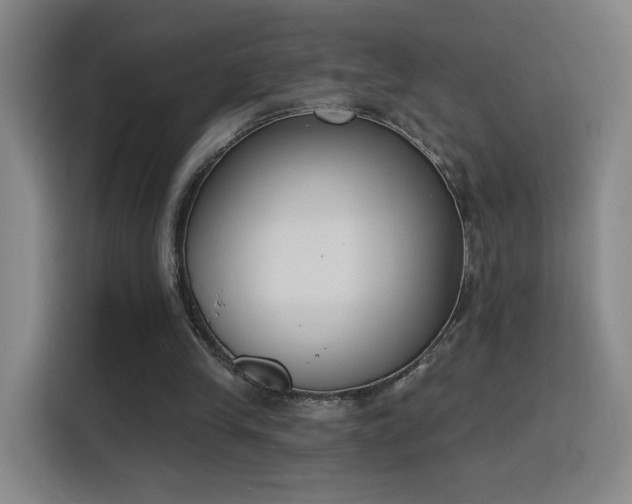 X0000116150245200911231337