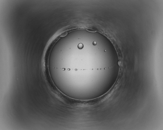 X0000116150246200911231337