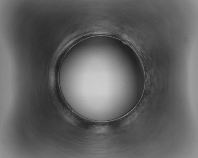 X0000116150247200911231337