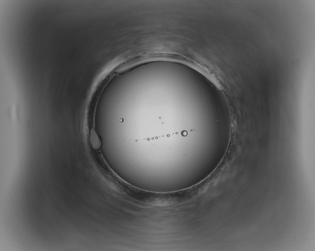 X0000116150248200911231337