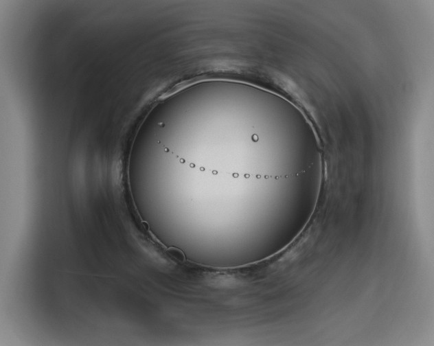 X0000116150249200911231337