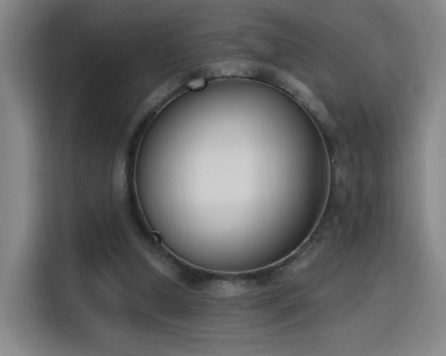 X0000116150250200911231337