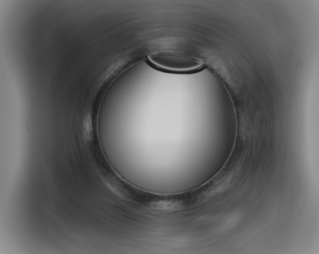 X0000116150251200911231337