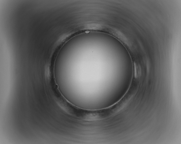 X0000116150252200911231337