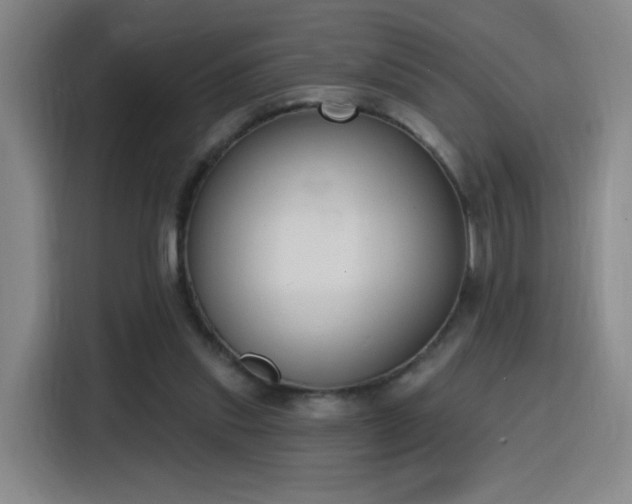 X0000116150253200911231337