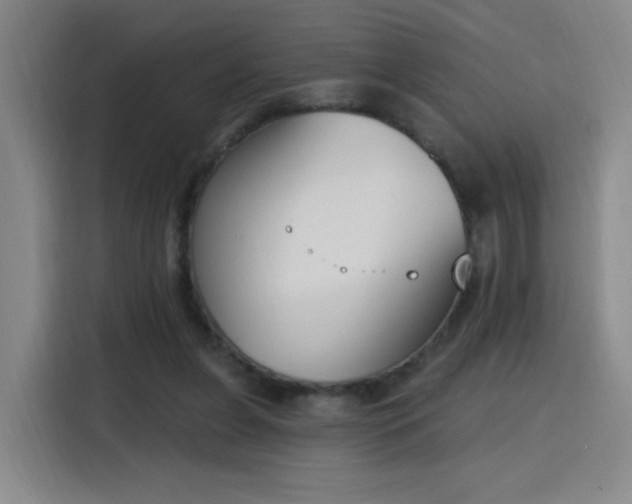 X0000116150255200911231337