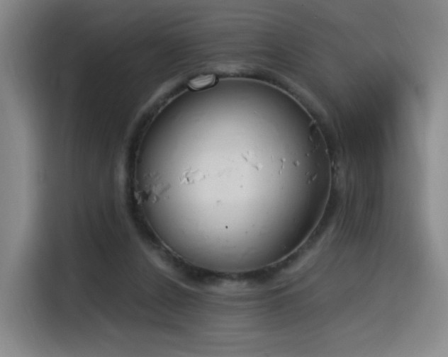 X0000116150256200911231337