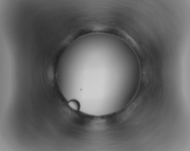 X0000116150257200911231337