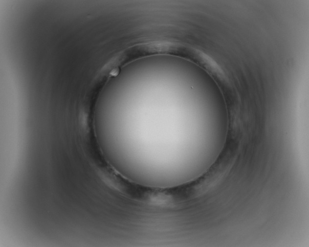 X0000116150258200911231337