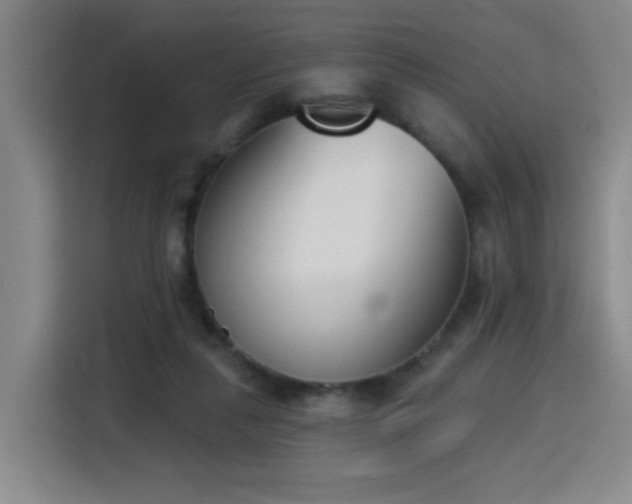 X0000116150259200911231337