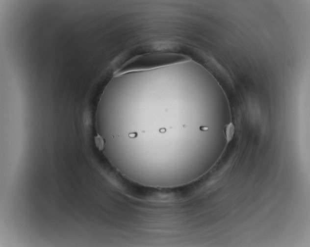 X0000116150260200911231337