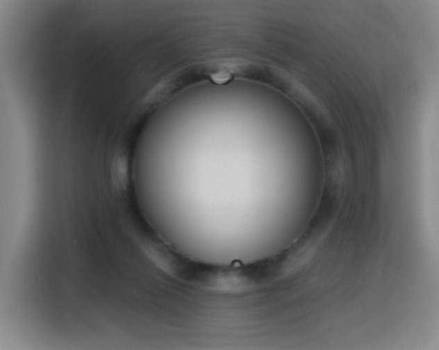 X0000116150262200911231337