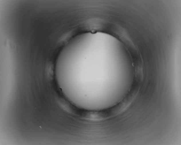 X0000116150264200911231337