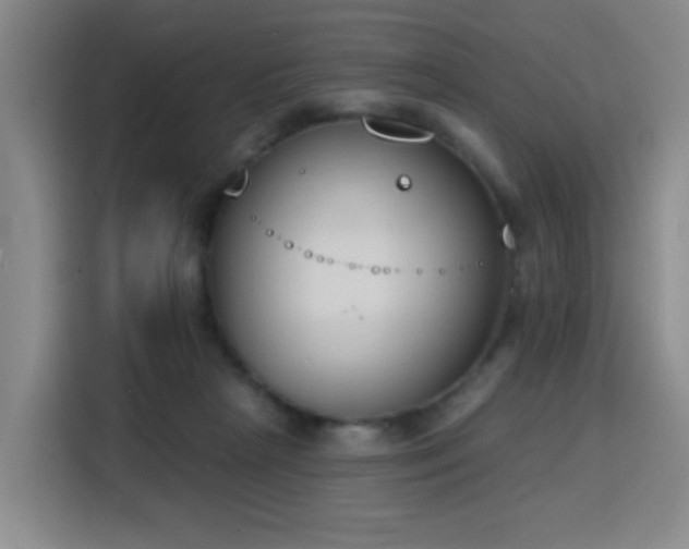 X0000116150265200911231337