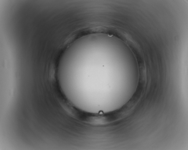 X0000116150266200911231337