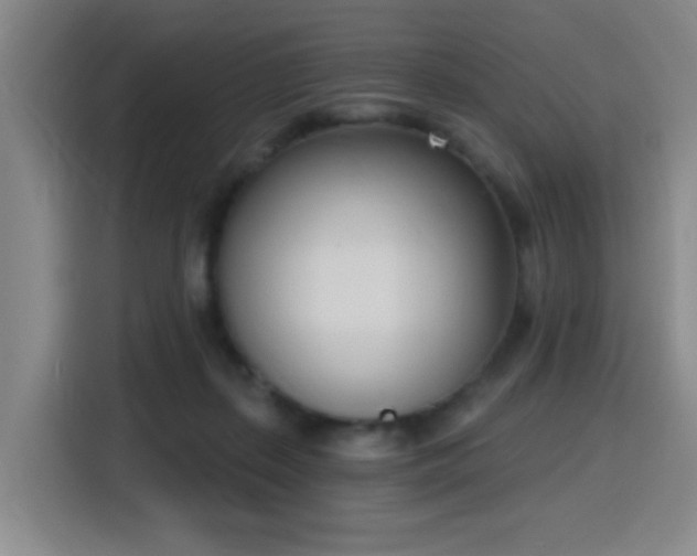 X0000116150267200911231337