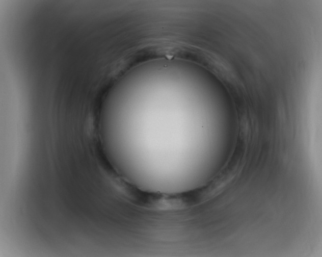 X0000116150270200911231337