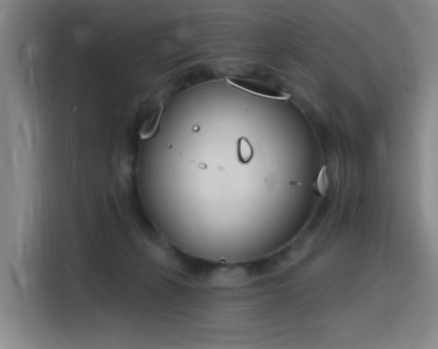 X0000116150271200911231337