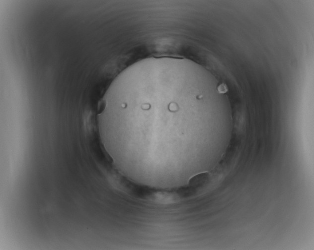 X0000116150272200911231337