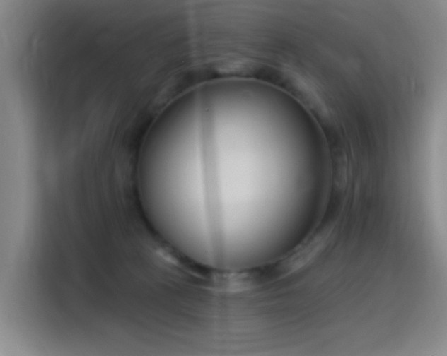 X0000116150273200911231337