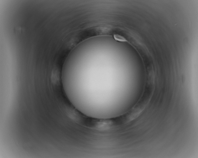 X0000116150274200911231337