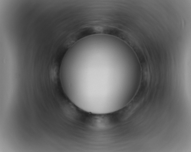 X0000116150275200911231337