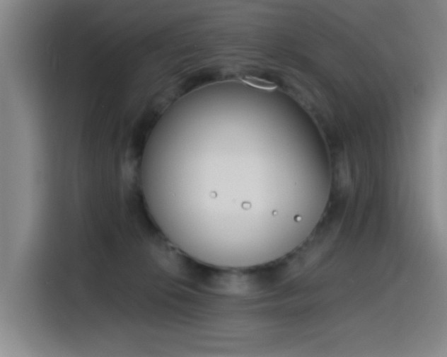 X0000116150276200911231337