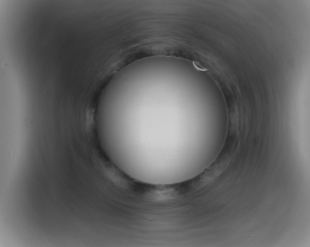 X0000116150278200911231337