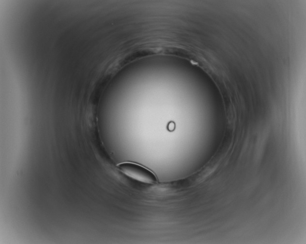 X0000116150280200911231337