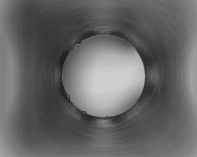 X0000116150283200911231337