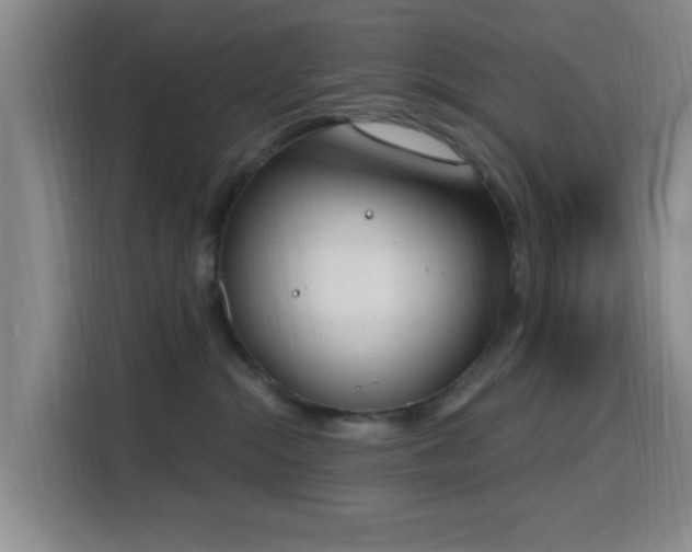 X0000116150284200911231337