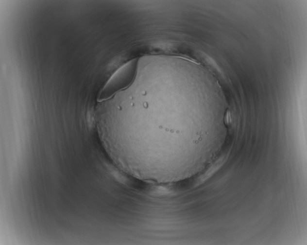 X0000116150285200911231337