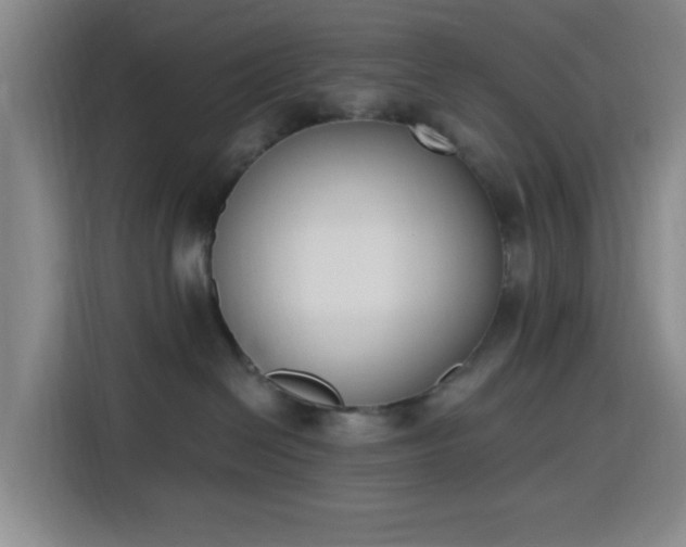 X0000116150286200911231337