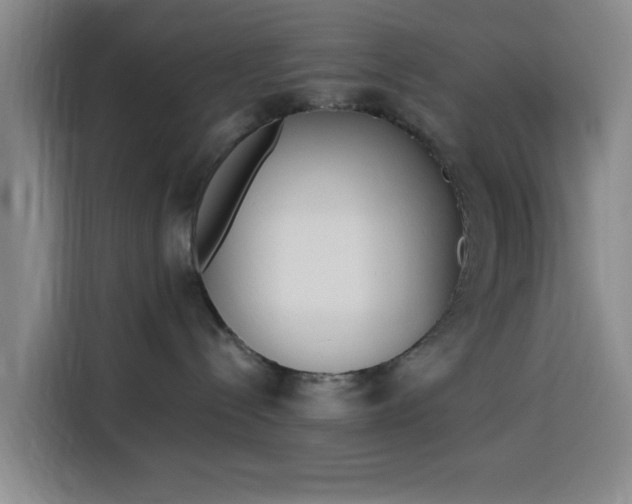 X0000116150288200911231337