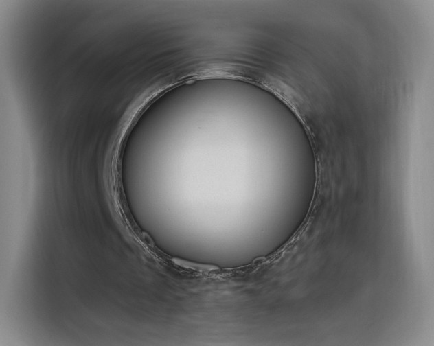 X0000116150289200911231337