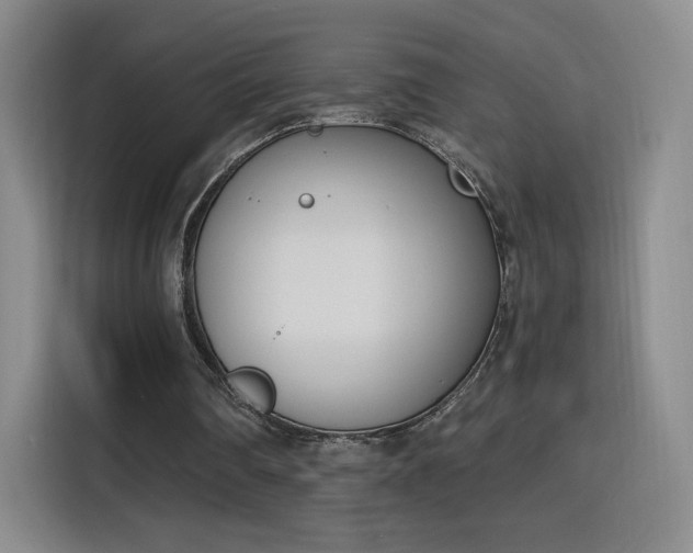 X0000116150290200911231337