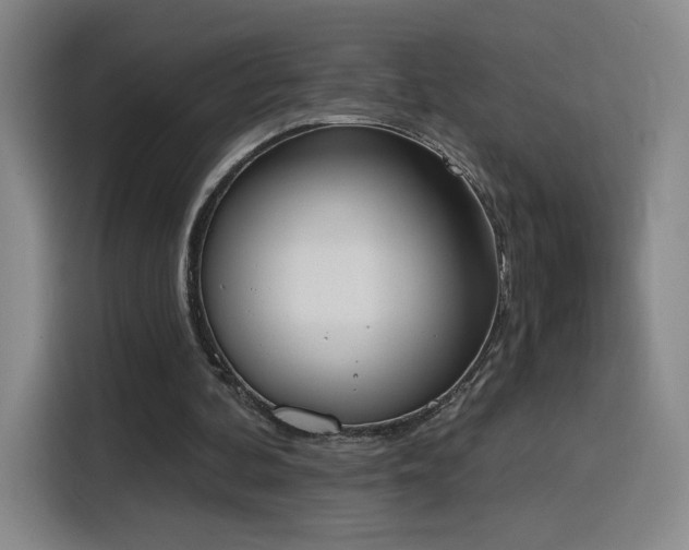 X0000116150292200911231337