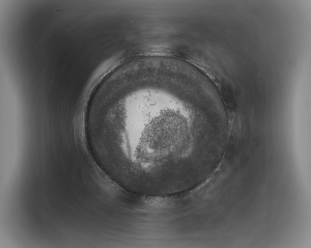 X0000116150293200911231337